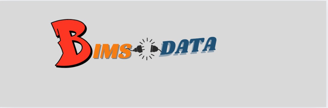 BIMS DATA Logo